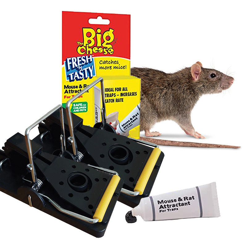 Professional Rat Traps with Lure